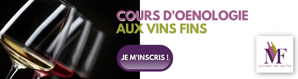 cours d'oenologie à la Maison des vins fins