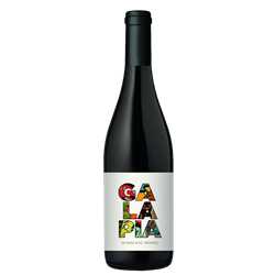 Bergerac Domaine Albert de Conti "Galapia" en magnum