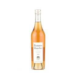 Coteaux du Layon Saint Lambert Domaine Ogereau "Bonnes Blanches" (50cl)