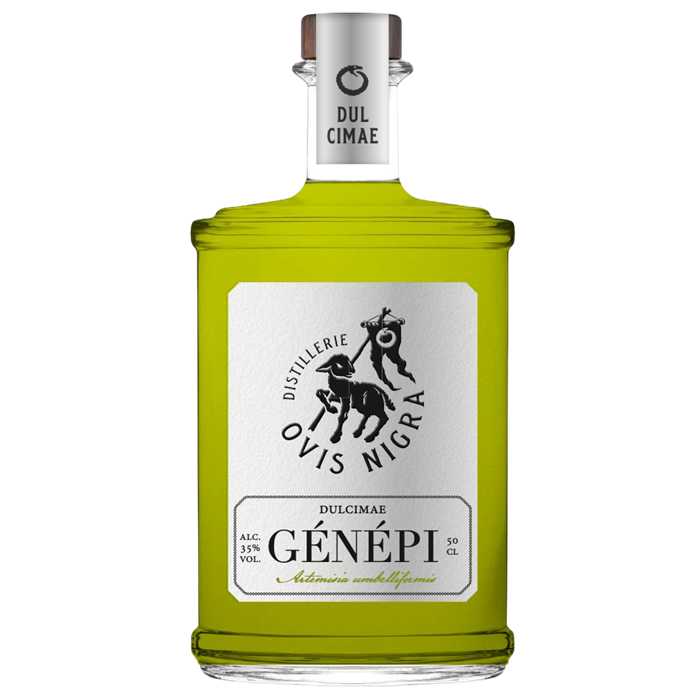 Génépi Ovis Nigra Génépi Ovis Nigra