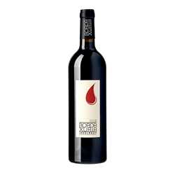 Irouleguy rouge Domaine Bordaxuria