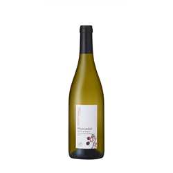 Muscadet Sèvre et Maine Domaine Bonnet-Huteau "Gautronnières"