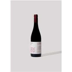Saumur-Champigny Domaine Moly "Les Sybarites"
