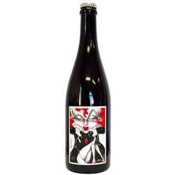 Vin de France pétillant naturel bio Domaine Albert de Conti